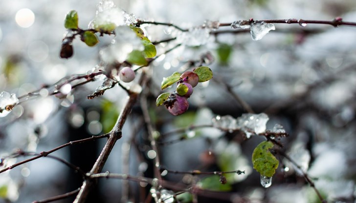 Температурите ще се доближат до климатичните норми за Коледните празници