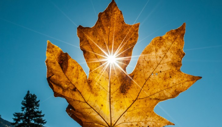 Преди обяд мъглите в равнините ще се разсеят, а облачността ще се увеличи привечер