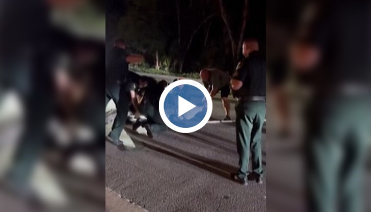 Влечугото с тегло над 270 килограма „планирало“ да остане за празниците в Сарасота