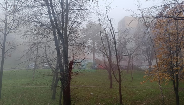 Времето остава меко за сезона с минимални температури около нулата Времето остава меко за сезона с минимални температури около нулата