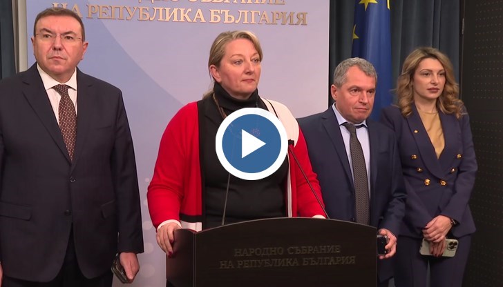 Искахме да се види лицемерието на ПП - ДБ, заяви Деница Сачева