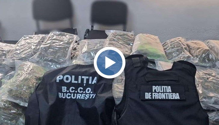 Дрогата била скрита сред декоративни храсти, шофьорът остава в ареста за 30 дни