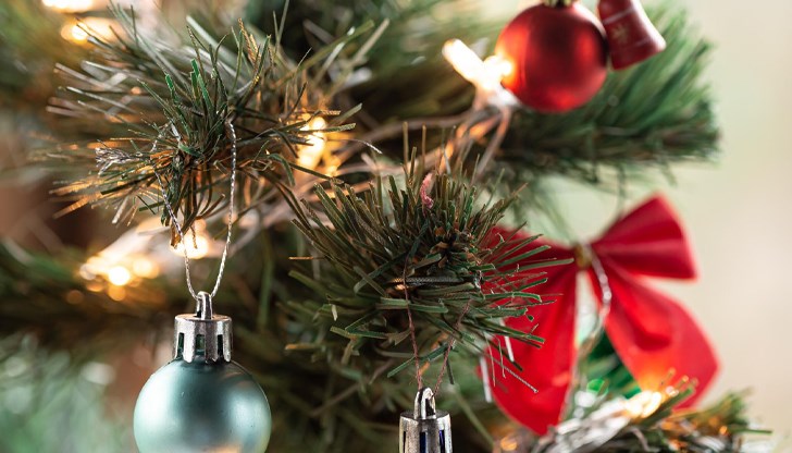 Родното производство се изнася успешно в 12 европейски държави Родното производство се изнася успешно в 12 европейски държави