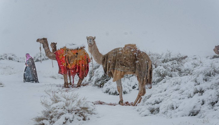 Планината Джебел ал-Лауз побеля, а социалните мрежи загряха от кадри на "зимна приказка" в пустинята