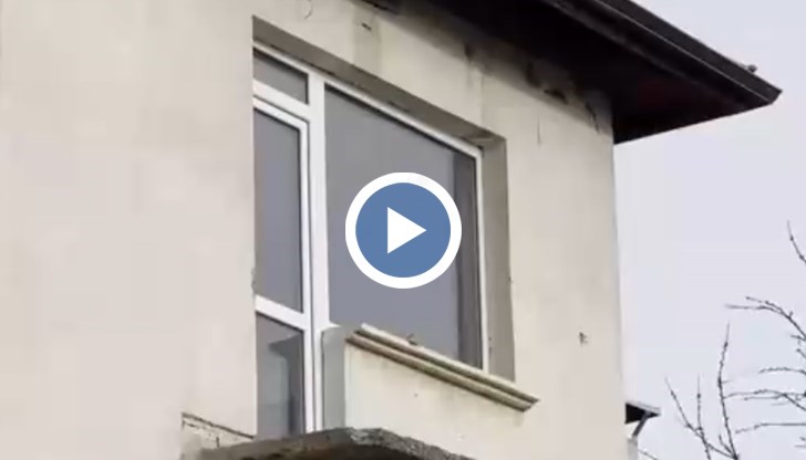 Разследване показа как парите от кражби на туристи се превръщат в луксозни имоти у нас