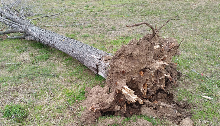 Екипите на РДПБЗН – Русе реагираха на десет сигнала за
