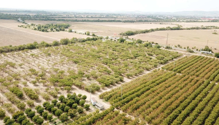 Браншовата камара иска спешен план и компенсации за стопаните в