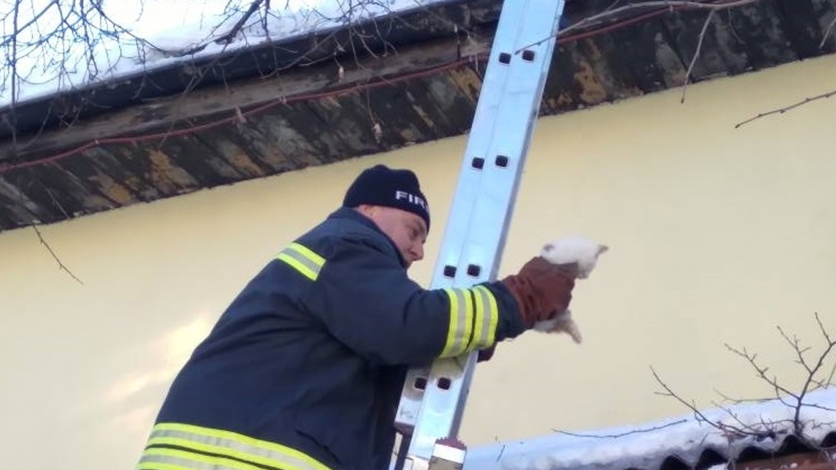 Екипът се отзова на сигнал от пазара в последния ден