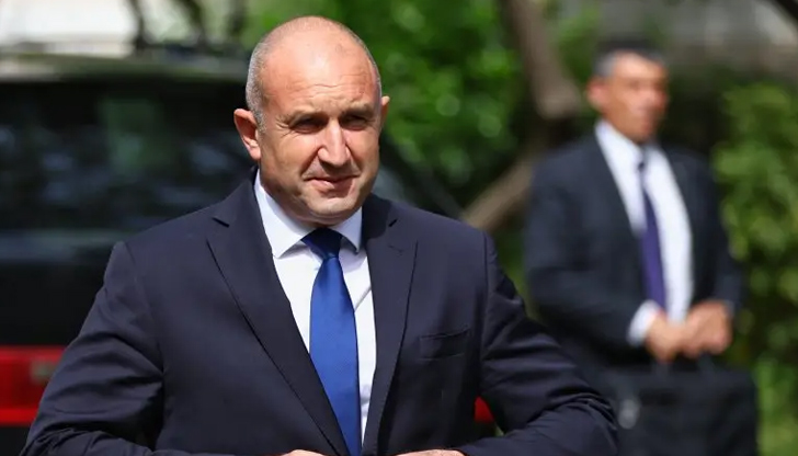 Експерти спорят дали държавният глава ще рискува с партиен проектВъзможността