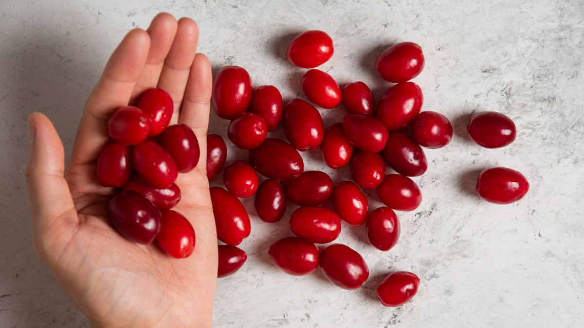 Червените плодове помагат при анемия и възпаления, а кората лекува