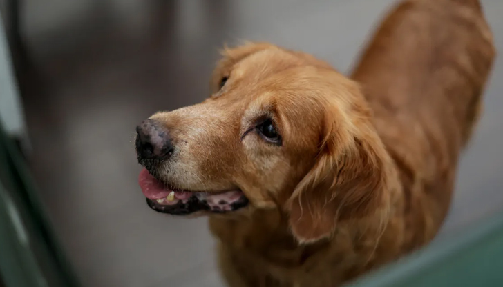 Промените в наредбата са на етап обществено обсъждане до 17