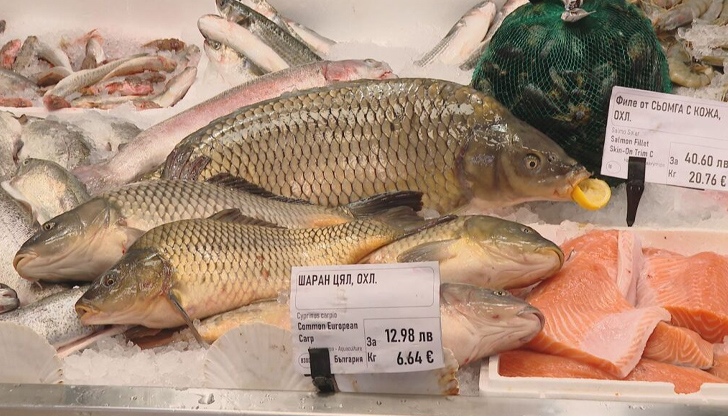Скумрията скача почти двойно, а паламудът и чернокопът са дефицитни
