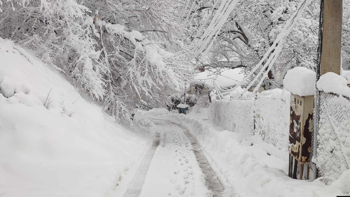 Аварии в Северозапада и Русенско, село Брестовица е на тъмно