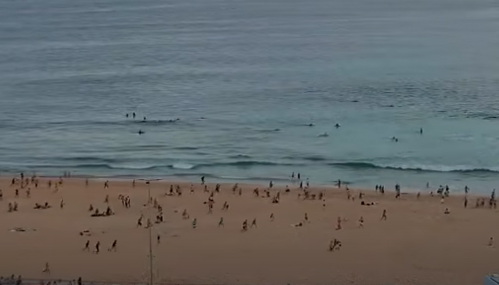 11 души са ранени, сред които има и двама полицейски