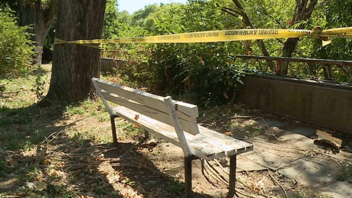 Решението идва след трагичен инцидент с паднал клонПоетапно премахване на