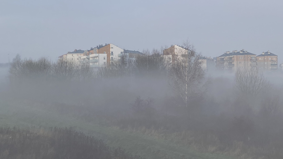 В София въведоха мярката зелен билет за три дниВисоки нива