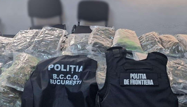 Дрогата била скрита сред декоративни храсти, шофьорът остава в ареста