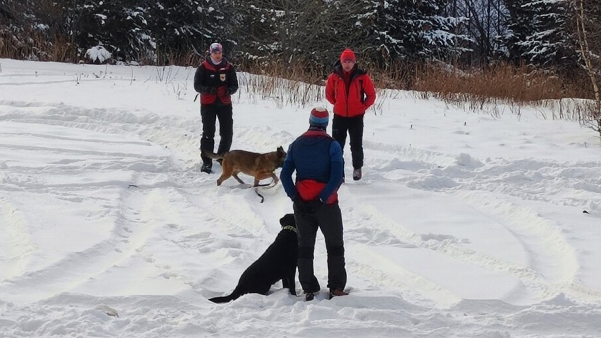 Спасителната операция продължава втори ден, обхождат се предполагаеми райониСпециализирани кучета