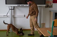 Орка е единственото куче, което може да надуши фалшивите пари в България