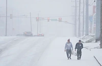 Силна зимна буря прекъсна тока на хиляди домакинства в САЩ