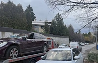 Дърво уби млада майка пред децата ѝ на пътя за Копитото