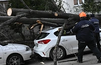 Бурен вятър събори дърво върху автомобил в София