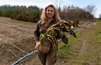 Цвекло-гигант порасна в разсадник край Елин Пелин