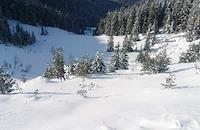 ПСС предупреждава за изключително висока лавинна опасност през уикенда