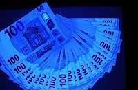 Задържаха младежи с над 400 фалшиви банкноти в Русенско