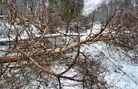 Пуснаха движението по пътя Русе - Бяла след блокада от закъсали камиони