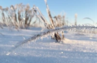 Февруари идва с много студено време