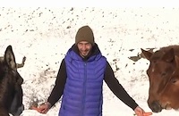 Шофьорът на линейка, който отглежда магарета