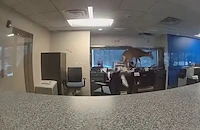 Елен нахлу в банка и се бори с полицаите в Ню Йорк