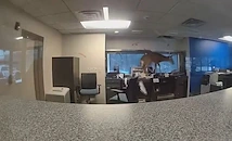 Елен нахлу в банка и се бори с полицаи в Ню Йорк