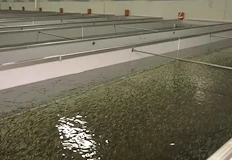 Окончателните резултати от лабораторията ще са ясни следващата седмицаПрокуратурата МВР