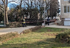 Инцидентът се размина без пострадали но унищожи част от коледната