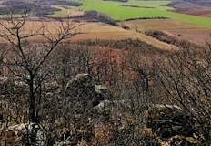 Съдът защити здравето на хората пред инвестиционните интереси на Румен