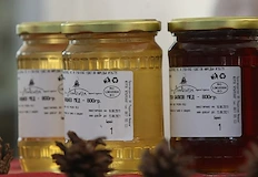 Пчелари искат спешни мерки срещу тихата смърт на сектора и