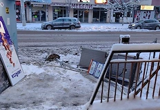 Инцидентът в Русе се размина без пострадалиЛек автомобил помете автобусна