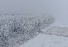 Националната метеорологична служба прогнозира до 30 см сняг по Източното