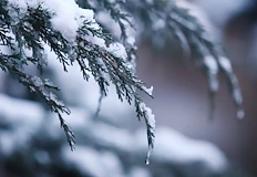 Синоптикът Петър Янков предупреждава за заледявания и възможни екстремни студове