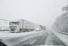 Институциите не знаят новото име на Стефан Стамболово докато пишат