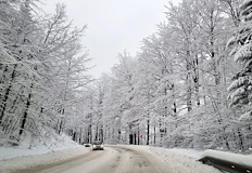 Общо 44 машини обработват настилките температурите паднаха до минус 4