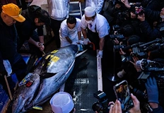 Японски суши магнат плати 510 милиона йени за една риба