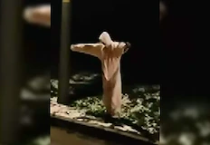 Пътят към Дунав мост 2 стана арена на опасни засадиГрупа