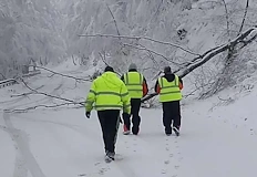 София чисти снега със 109 машини АПИ пусна едва 261