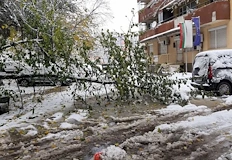 Обработени са 35 сигнала за паднали клони и наводненияОбилни валежи