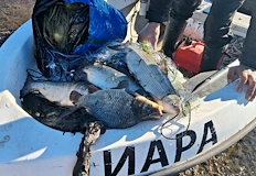 Инспекторите върнаха във водата 120 килограма рибаМащабен опит за незаконен