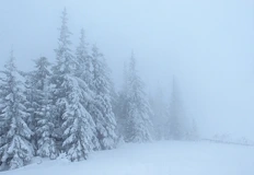 Над 10 000 полета са отменени Доналд Тръмп обяви извънредно