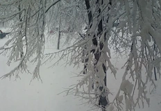 Пътната инфраструктура е под риск от заледявания и снегонавявания в